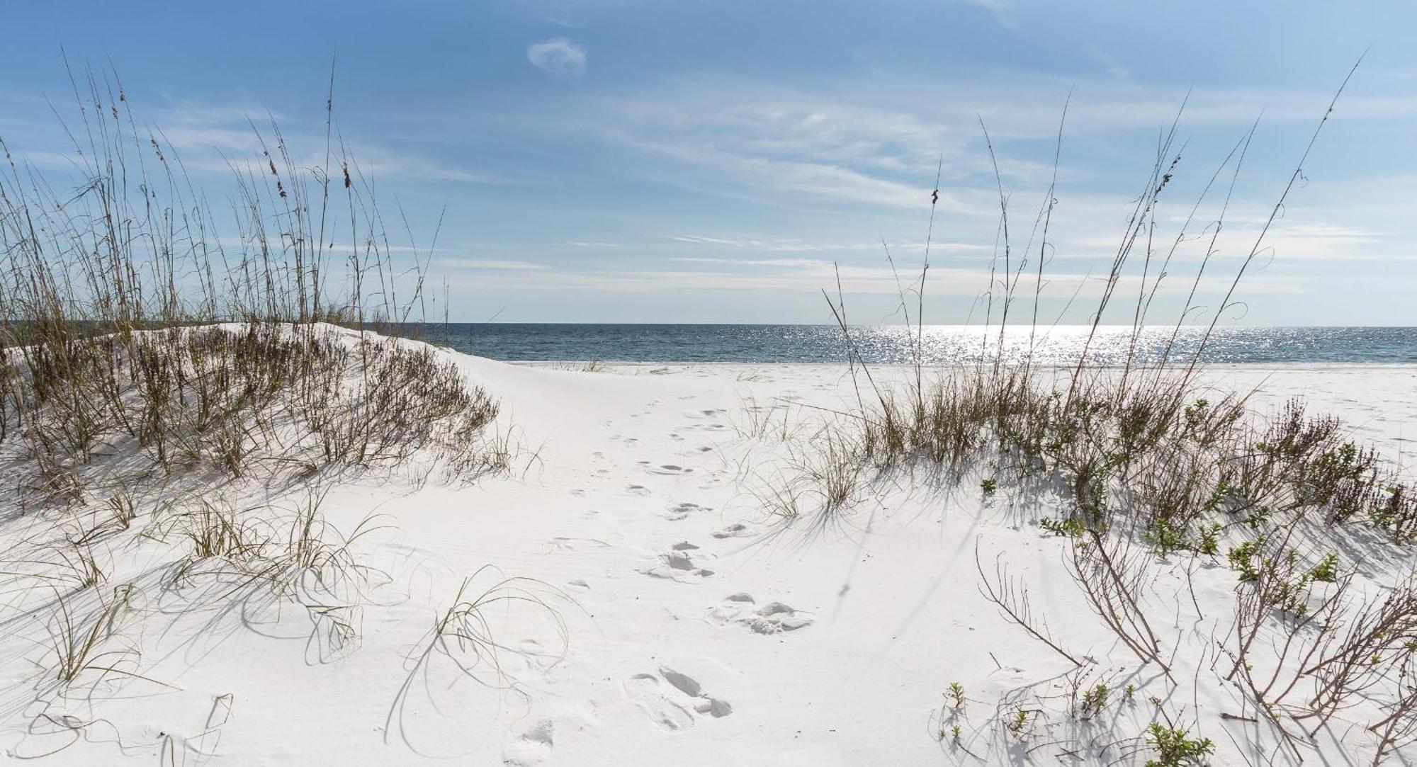 Nautilus 2408 Gulf View 2 Bedroom 4Th Floor Free Beach Service Fort Walton Beach Exteriör bild