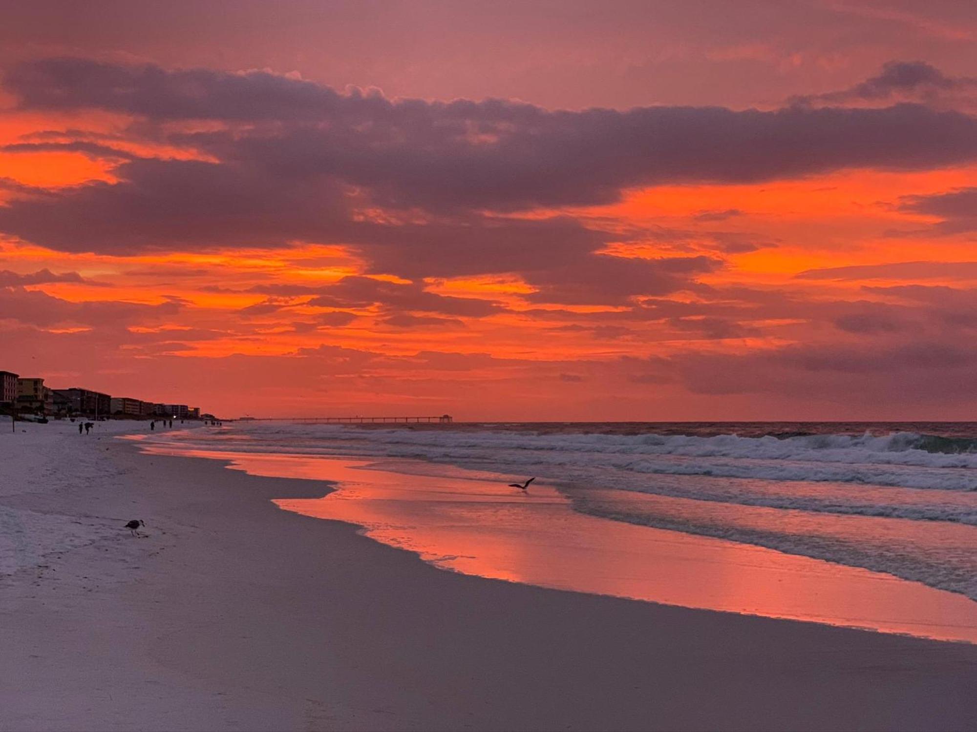 Nautilus 2408 Gulf View 2 Bedroom 4Th Floor Free Beach Service Fort Walton Beach Exteriör bild