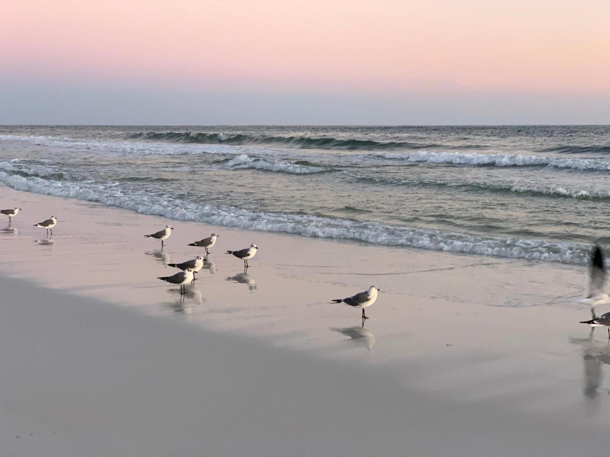 Nautilus 2408 Gulf View 2 Bedroom 4Th Floor Free Beach Service Fort Walton Beach Exteriör bild
