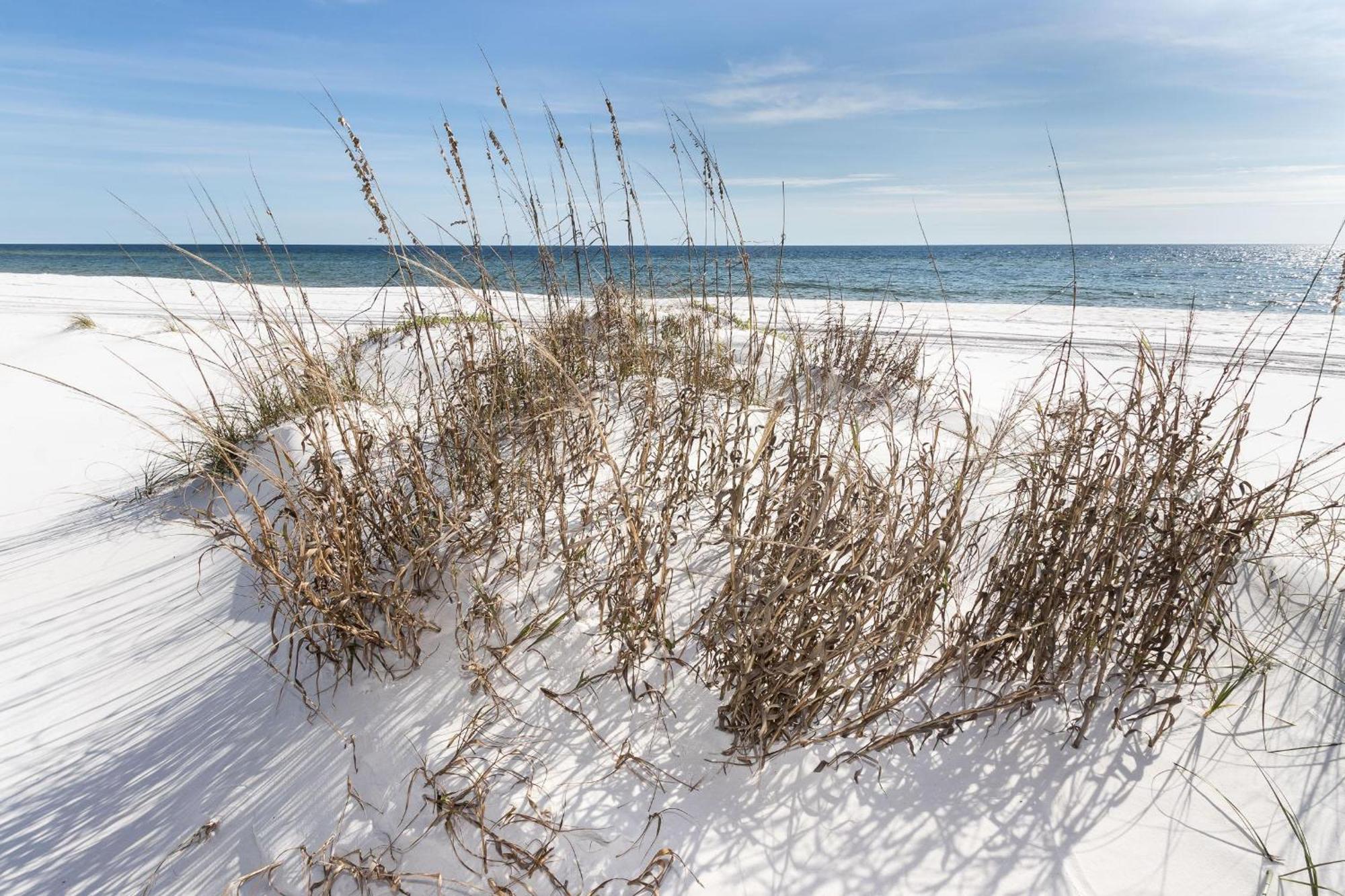 Nautilus 2408 Gulf View 2 Bedroom 4Th Floor Free Beach Service Fort Walton Beach Exteriör bild